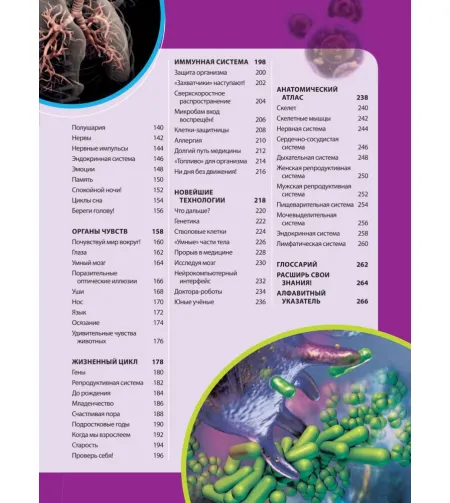 Raamat,  Большая энциклопедия. Тело человека "RU"