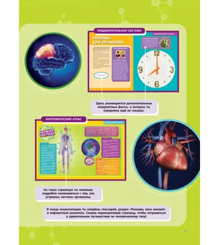 Raamat,  Большая энциклопедия. Тело человека "RU"