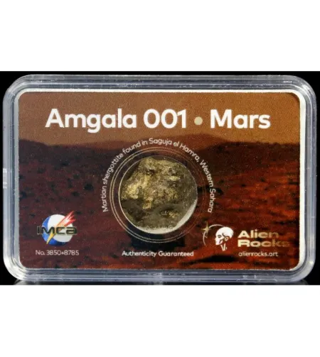 Citplanētiešu akmeņi Amgala 001 Marsa meteorīti 0,4–0,69 grami