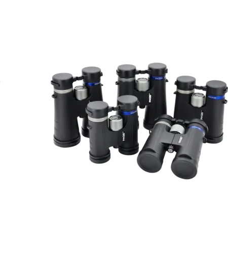 Focus Discover 12x50