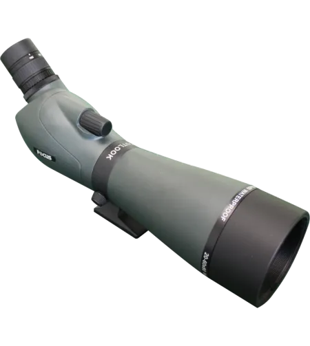 Focus Outlook 16-48x65