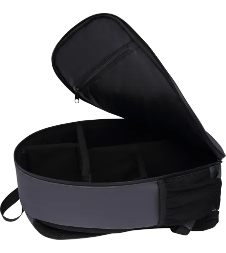 Chasing Dory Flash Pack