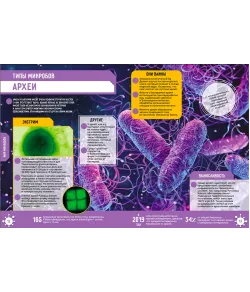 Raamat Microworld. 250 uskumatut fakti (RU)