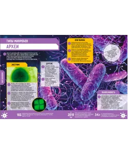 The book Microworld. 250 incredible facts (RU)