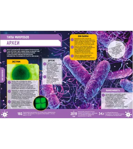 Raamat Microworld. 250 uskumatut fakti (RU)