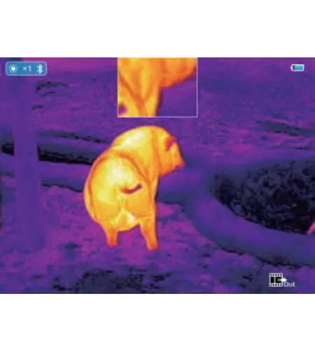 Termograafiline sihik INFIRAY Saim SCT35 V2