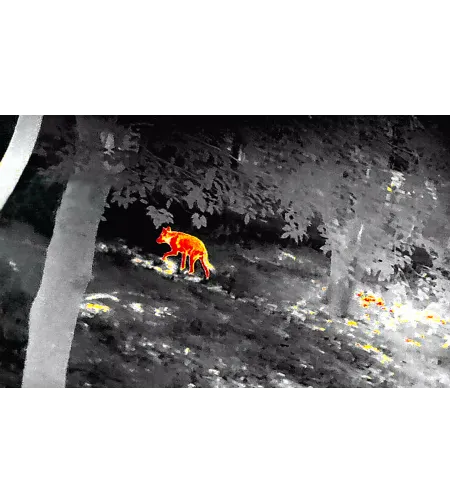 Termograafiline sihik GL35R seeria INFIRAY