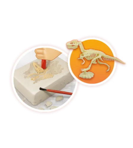 Vulkāni un dinozauri, Buki