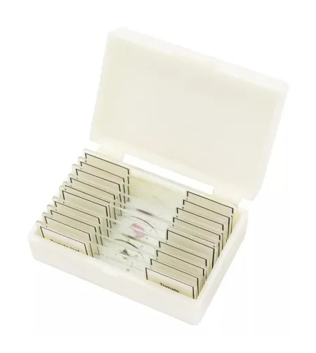 BRESSERi ettevalmistatud slaidid kõrge kvaliteediga 10 tk komplekt