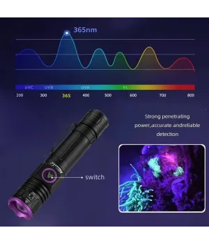 Zoom 395nm/365nm UV LED Flashlight