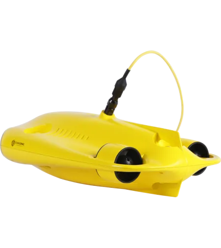 Chasing Gladius Mini 100m