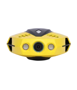 Chasing Dory