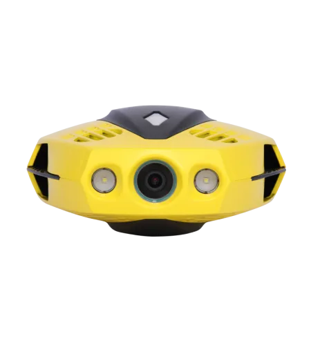 Chasing Dory